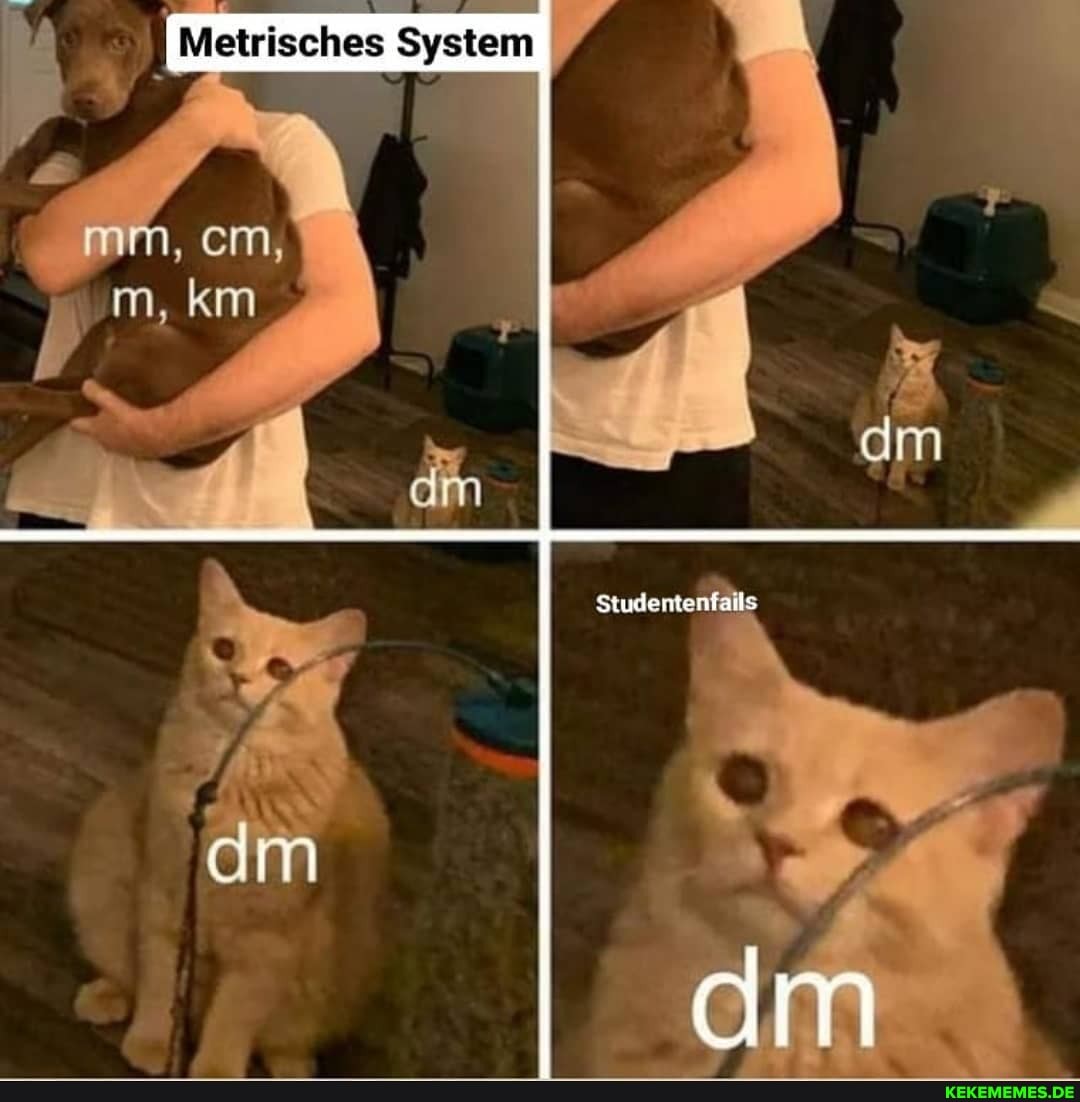 System
dm
am