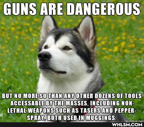 GUNS ARE DANGEROUS
li,
fe
BUT NO MORE SO THAN ANY OTHER DOZENS OF TOOLS ACCESSABLE BY THE MASSES, INCLUDING NON-
LETHAL WEAPONS SUCH AS TASERS AND PEPPER-
NATL NOOPN mnnipne