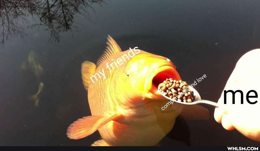 love, wholesome, wholesomememes, wholesome_memes