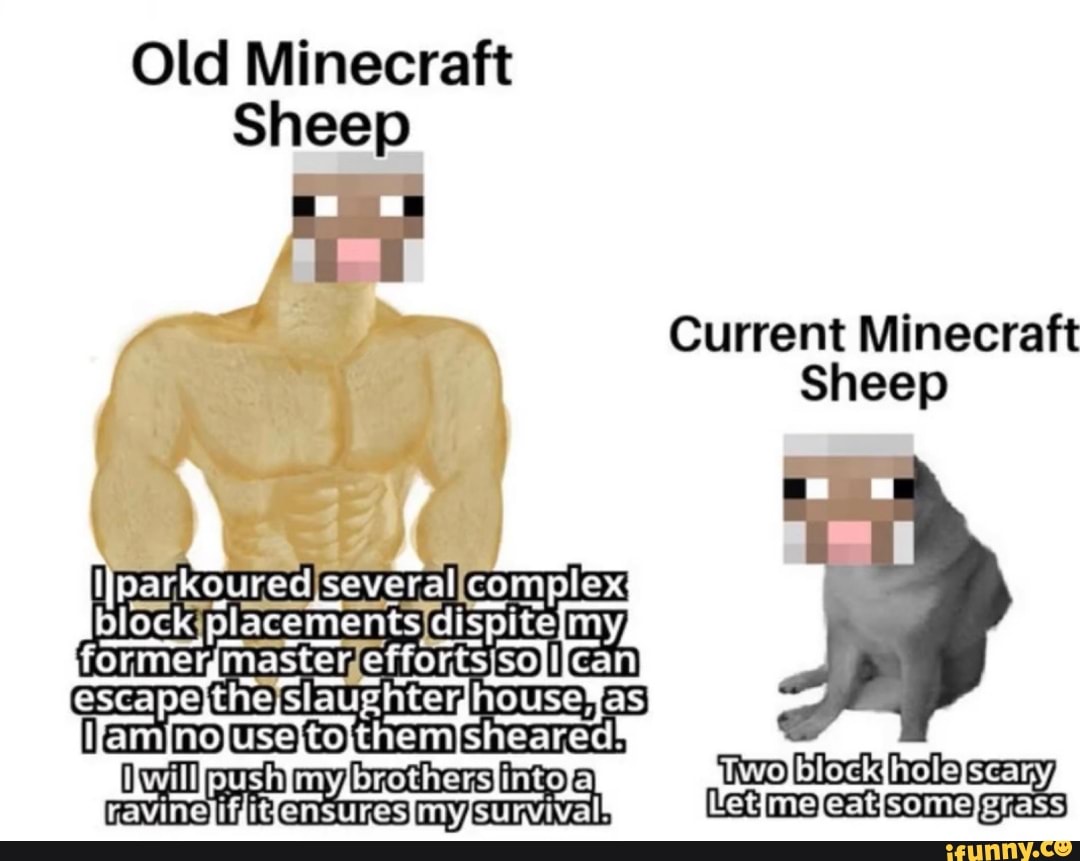 Old Minecraft Sheep Y E Tv En Current Minecraft E An Sheep Ifunny 2230