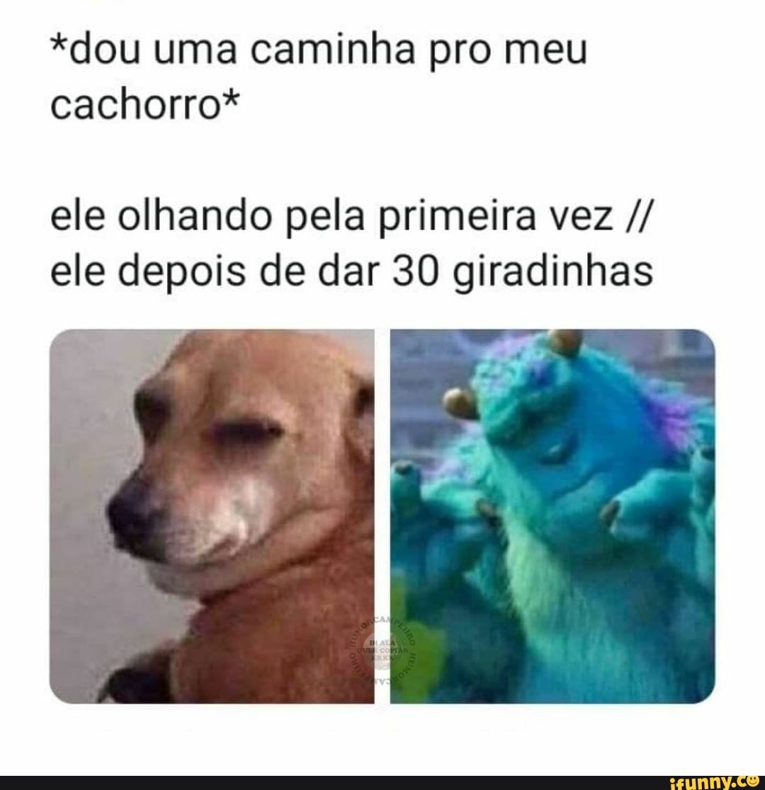 *dou uma caminha pro meu cachorro*
ele olhando pela primeira vez ele depois de dar 30 giradinhas