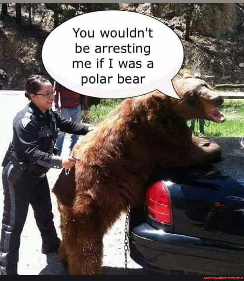 be arresting
You wouldn't
me if was a polar bear