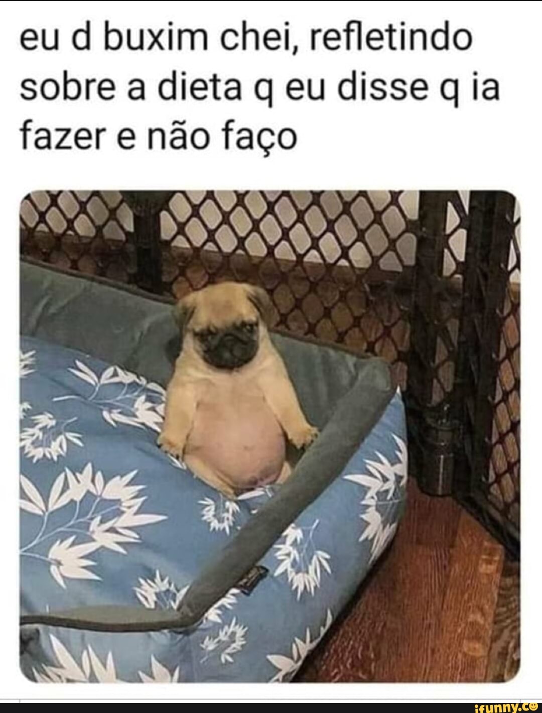 eu d buxim chei, refletindo
sobre a dieta q eu disse q ia
fazer e não o