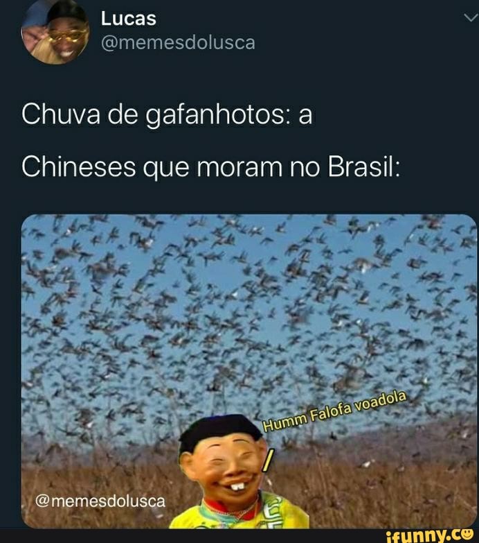 Chuva de gafanhotos: a
Chineses que moram no Brasil: