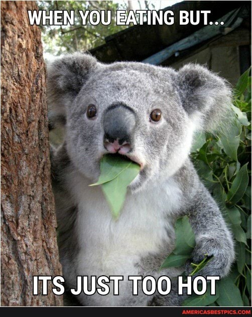 WHEN- YOU EATING BUT...
ITS JUST TOO HOT