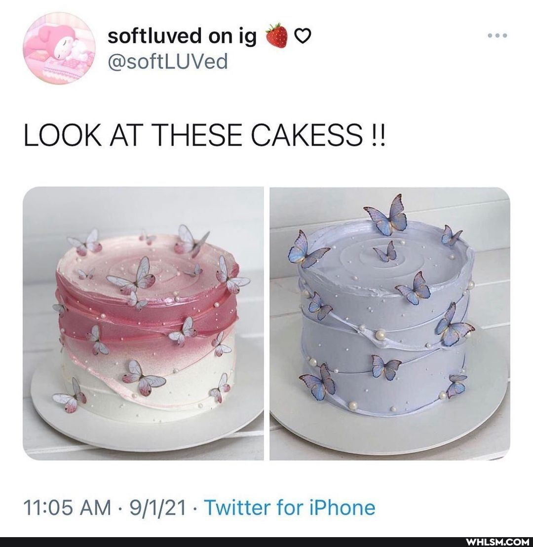 softluved on @softLUVed ig
LOOK AT THESE CAKESS
AM Twitter for iPhone