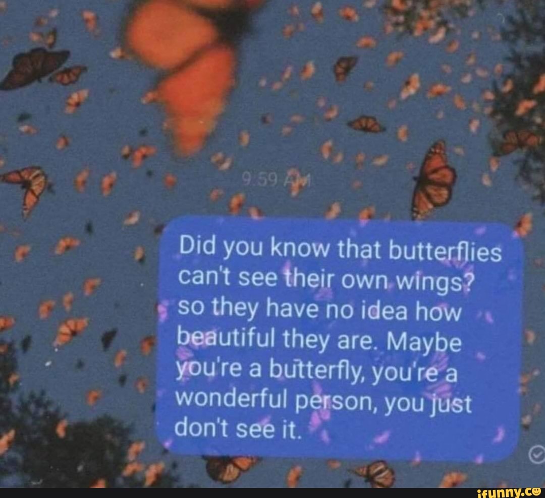 Did you know that butterflies cant see her own wings? So they have no