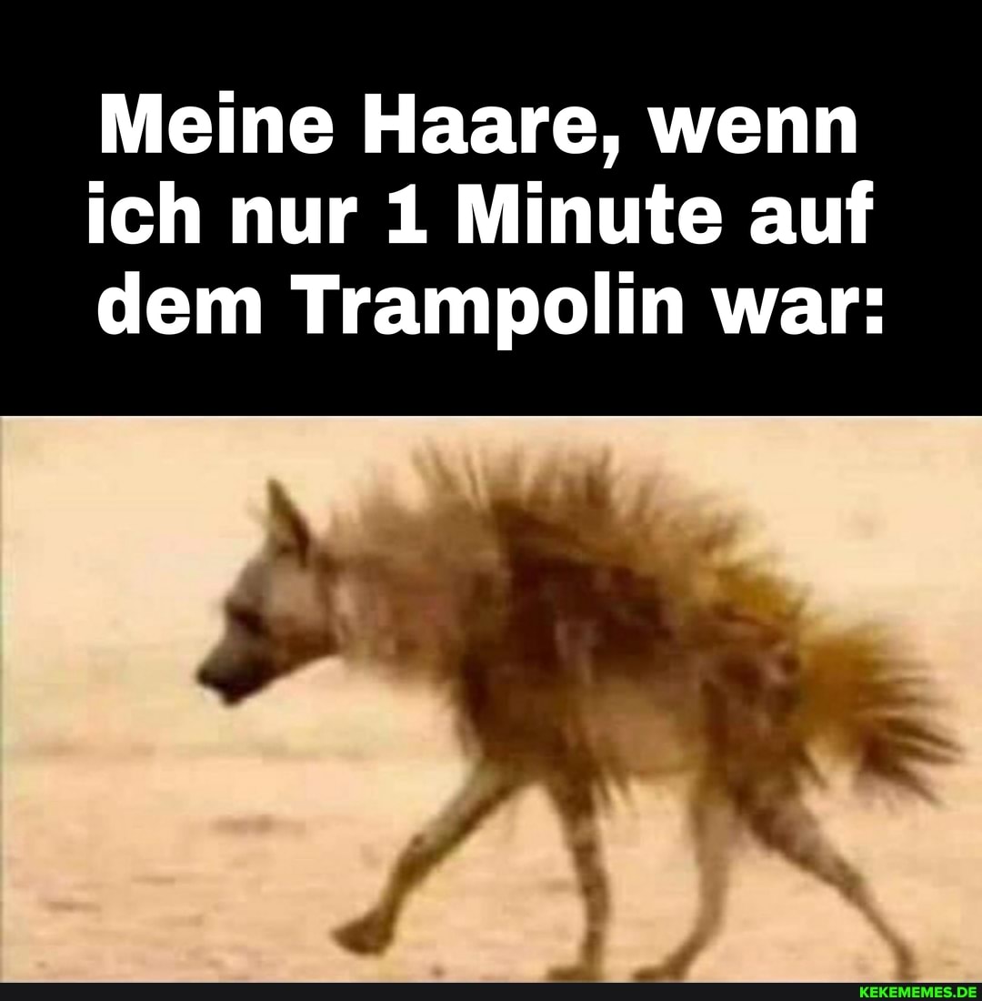 Meine Haare, wenn ich nur 1 Minute auf dem Trampolin war: