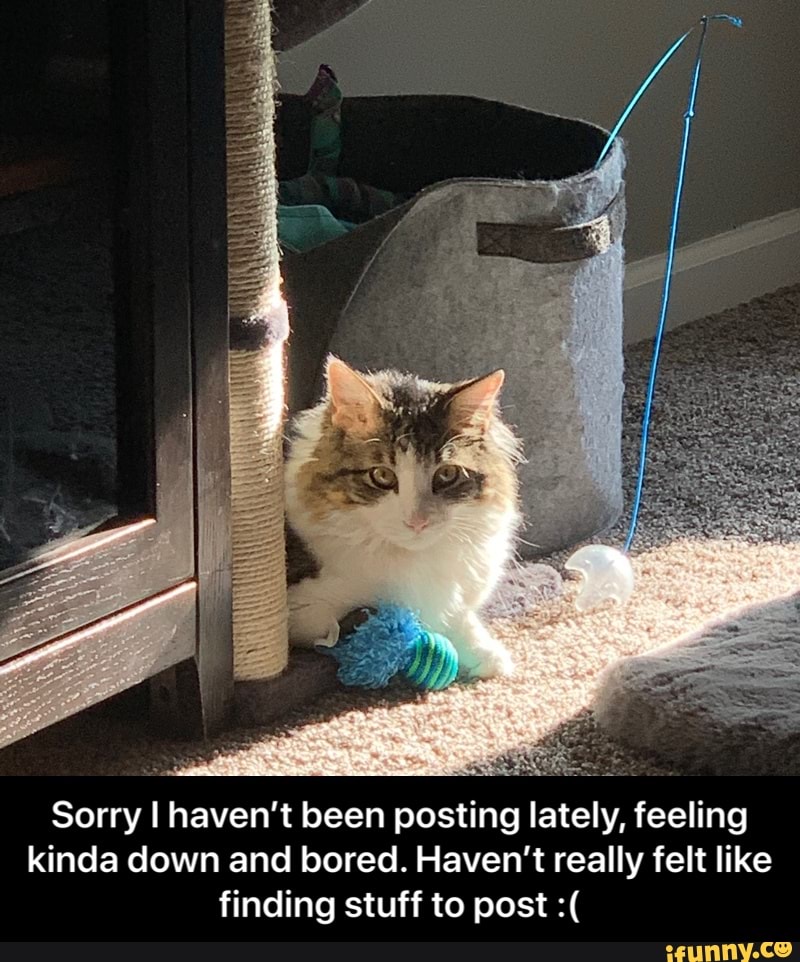 Sorry I haven't been posting lately, feeling kinda down and bored ...