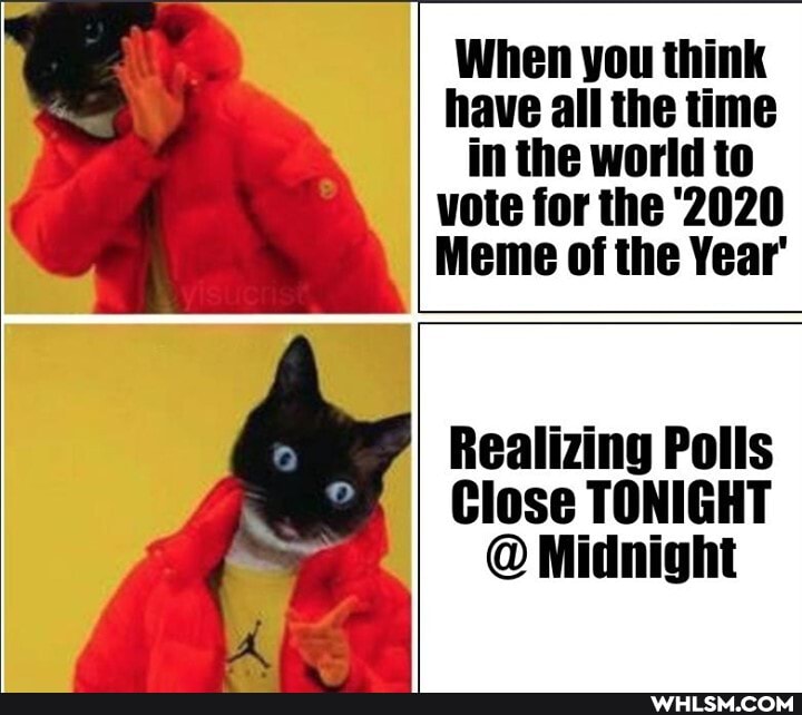 When you think have all the time in the world to vote for the '2020
Meme of the Year'
Realizing Polls
Close TONIGHT
@ Midnight