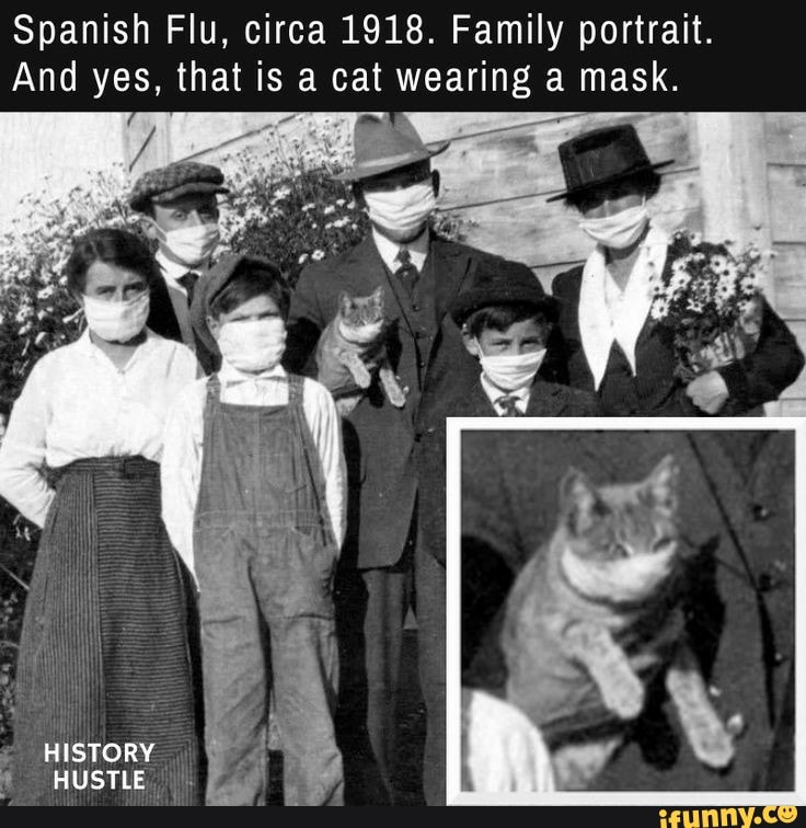Spanish Flu, circa 1918. Family portrait.
And yes, that is a cat wearing a mask.
HISTORY HUSTLE