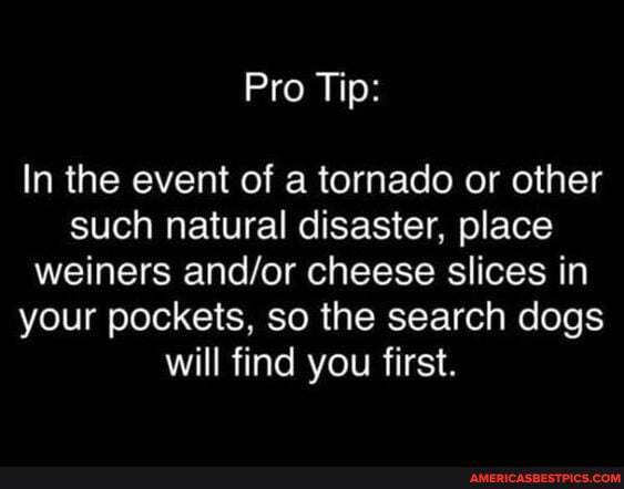 Pro Tip:
In the event of a tornado or other such natural disaster, place weiners anc.or cheese slices in your pockets, so the search dogs will find you first.