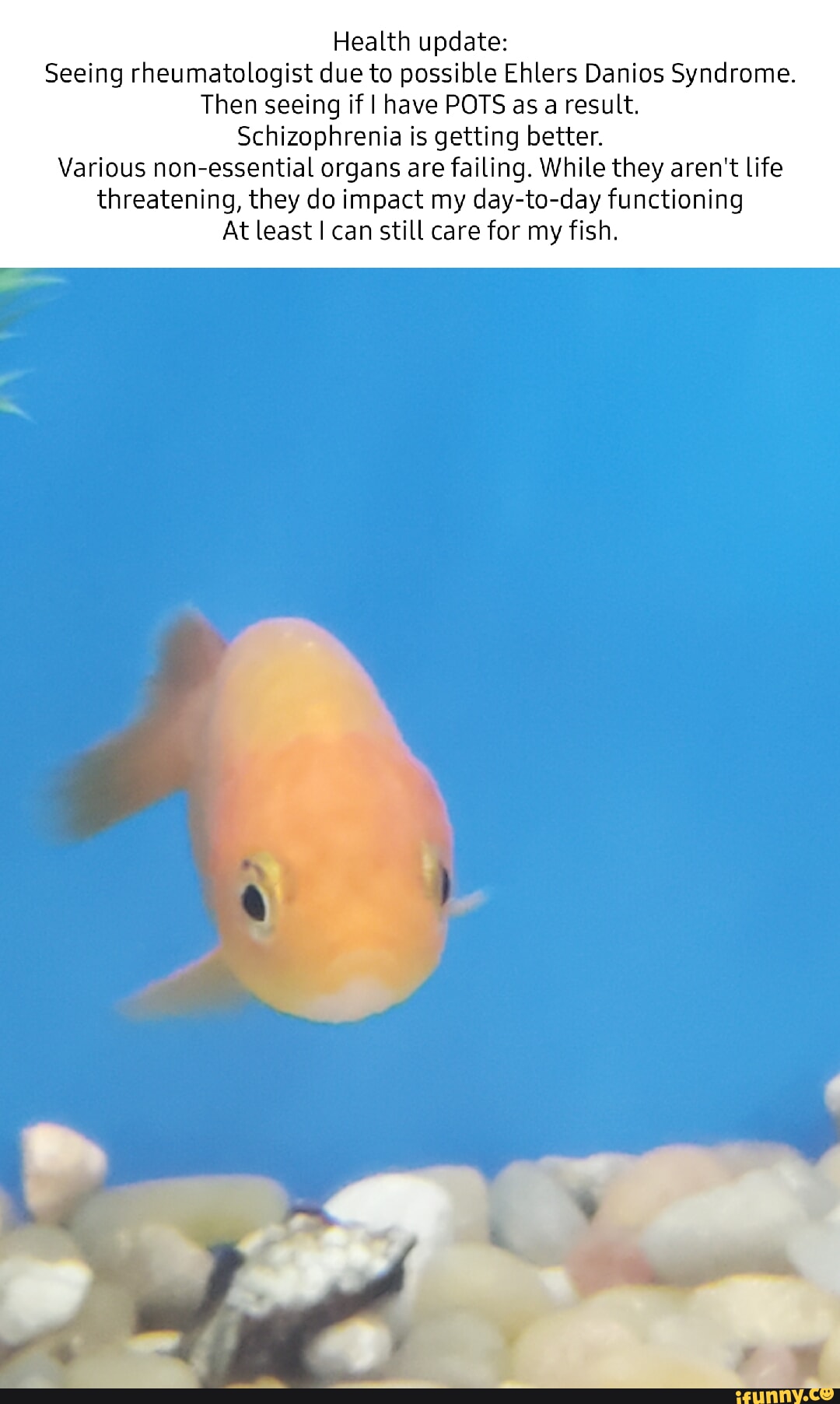 Health update Seeing rheumatologist due to possible Ehlers Danios