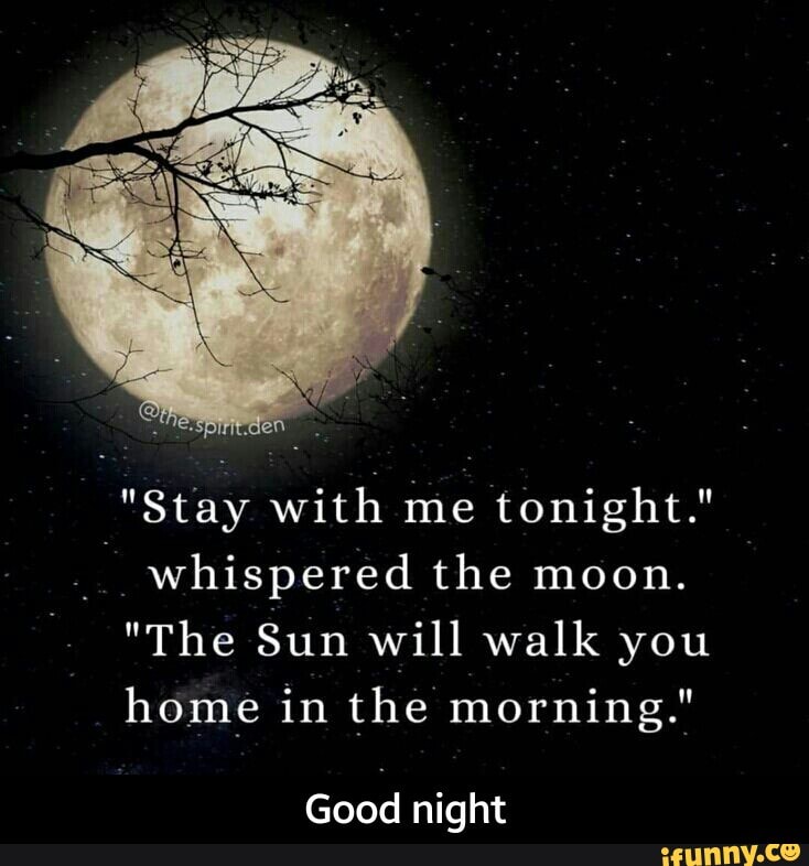 stay-with-me-tonight-whispered-the-moon-the-sun-will-walk-you-home