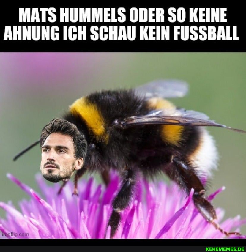 MATS HUMMELS ODER SO KEINE AHNUNG ICH SCHAU KEIN FUSSBALL