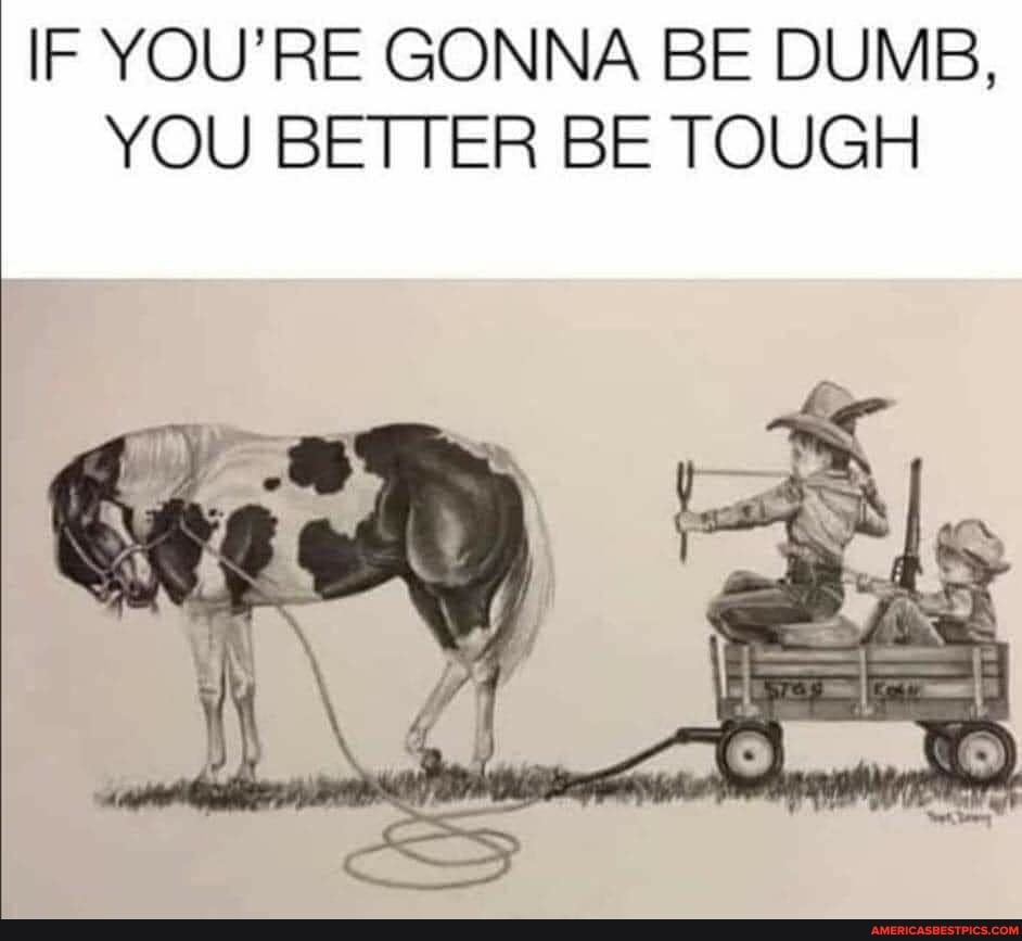 4f67f96e55d3d7863813676670867cbbdba44bbfbc00926d2143c1a7e3a61e82_1.jpg