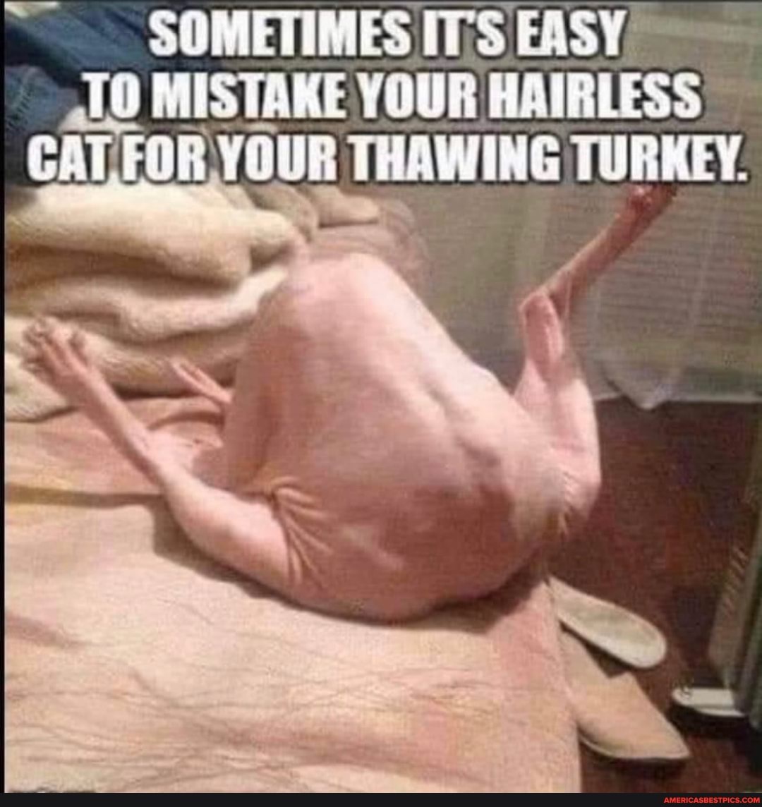 SOMETIMES IT'S EASY MISTAKE YOUR HAIRLESS ATFOR YOUR THAWING TURKEY.