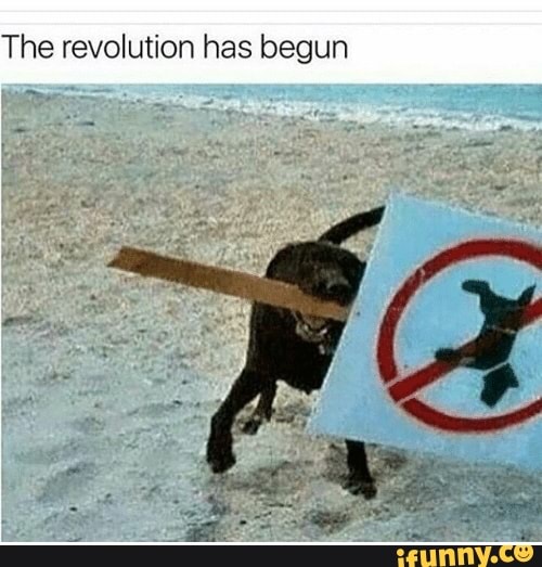 The Revolution Has Begun Ifunny