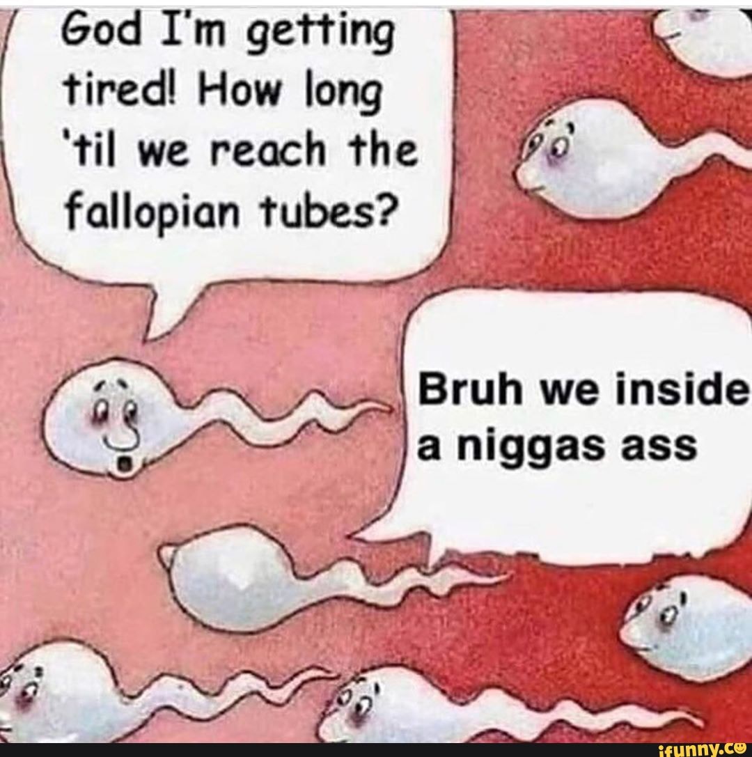 Tired! How long 'til we reach the I \ fallopian tubes? I God I'm