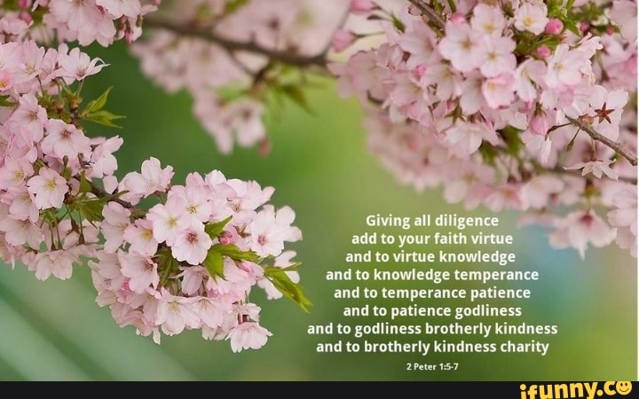 giving-all-diligence-add-your-faith-vireue-to-and-to-knowledge-temp