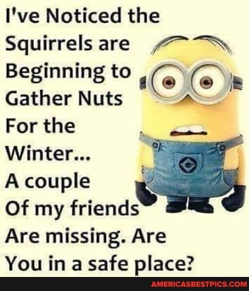 I've Noticed the
Squirrels are
Beginning to
Gather Nuts Ce a
For the
Winter...
A couple
Of my friends
Are missing. Are