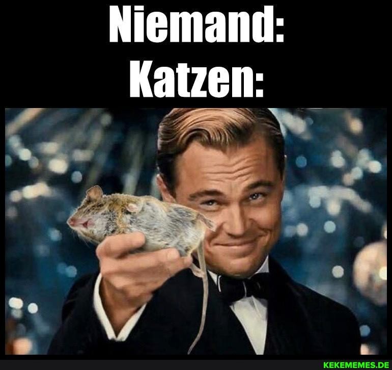 Niemand:
Katzen: