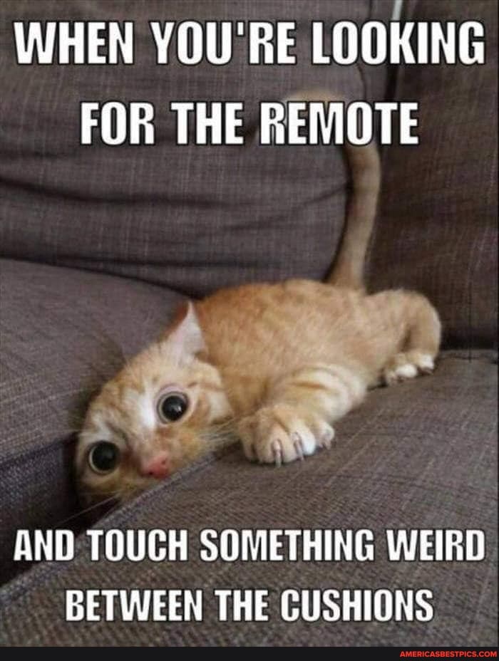 WHEN YOU'RE LOOKING FOR THE REMOTE
oF
AND TOUCH SOMETHING WEIRD BETWEEN THE CUSHIONS