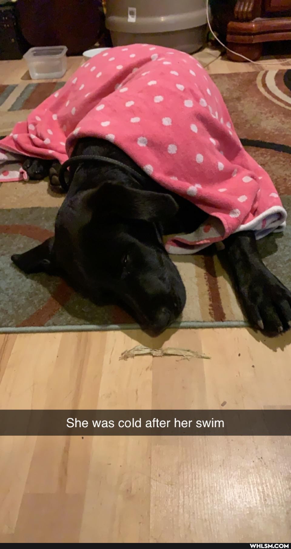 She was cold after her swim