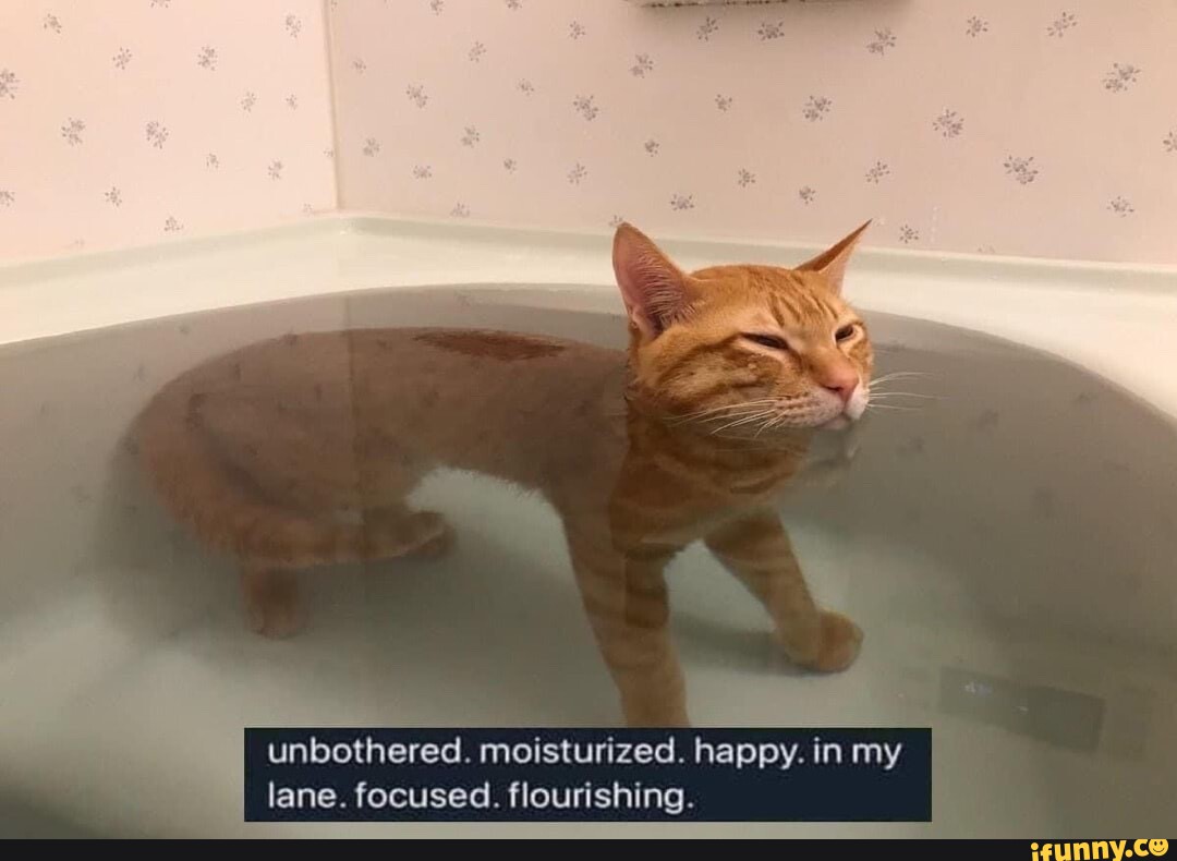 Unbothered Moisturized Happy In My Lane Focused Flourishing Ifunny