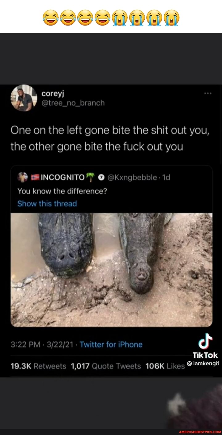 coreyj
@tree_no_branch
One on the left gone bite the shit out you, the other gone bite the fuck out you
INCOGNITO* @Kxngbebble - id
You know the difference?
Show this thread
PM - Twitter for iPhone
TikTok
19.3K Retweels 1,017 Quote Tweets 106K Likes