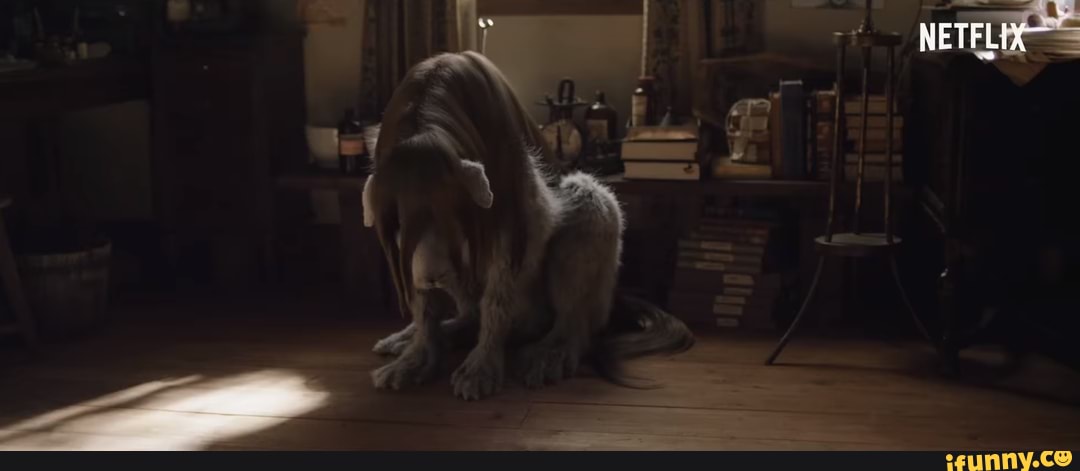 cute, dog, sad, fullmetal_alchemist, movies_and_tv