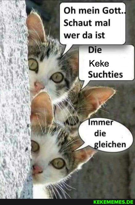 Oh mein Gott.
Schaut mal wer da ist
Keke
Suchties