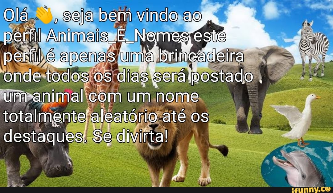 Olá "seja bem vindo perfil Animais, E. Nomegpeste= perfil é apena umá brincadeira onde todos os dias será postado .
um animal com um nome
totalmente 'aleatório até os destaques. Se divirta!