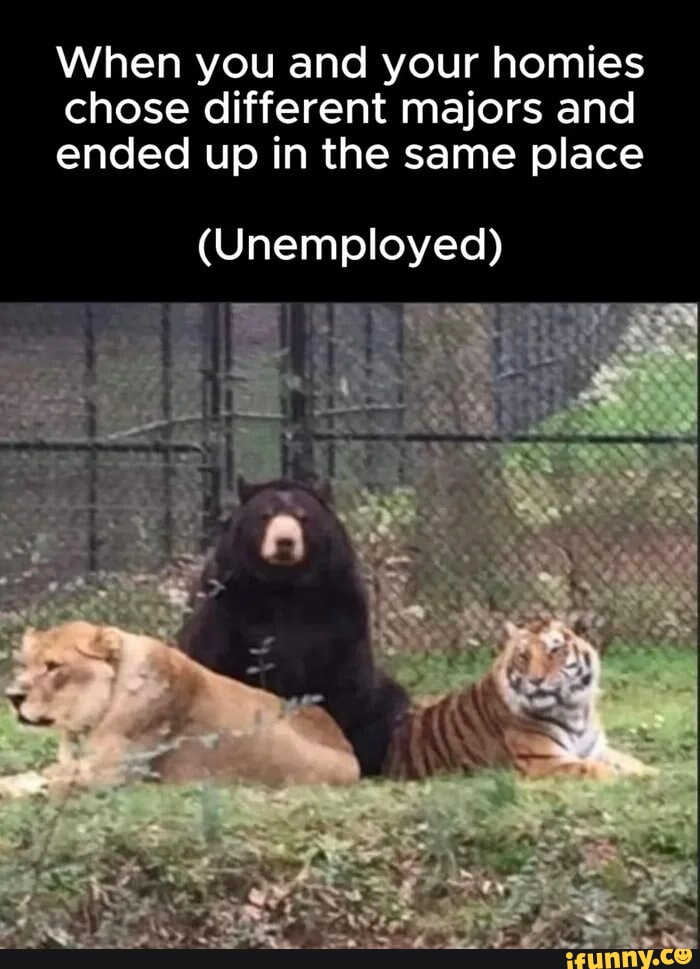 Pov you decide to finally make a graphic novel iFunny