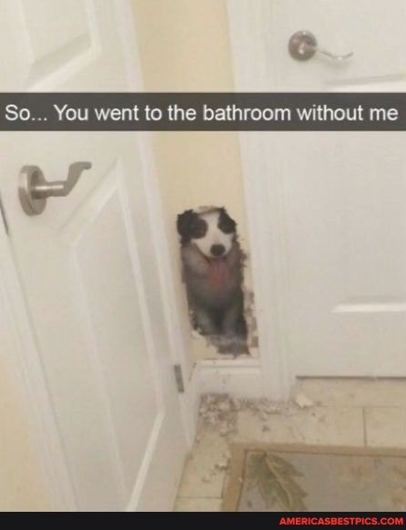 So... You went to the bathroom without me