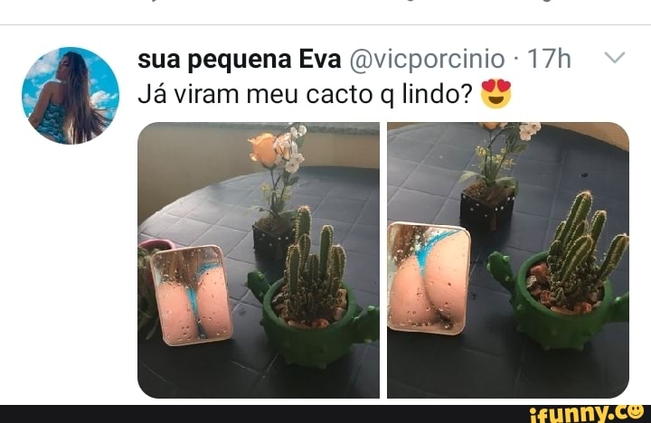 sua pequena Eva (dvicporcinio 17h
Já viram meu cacto q
lindo?