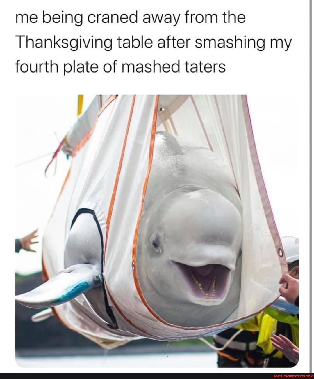 me being craned away from the
Thanksgiving table after smashing my fourth plate of mashed taters