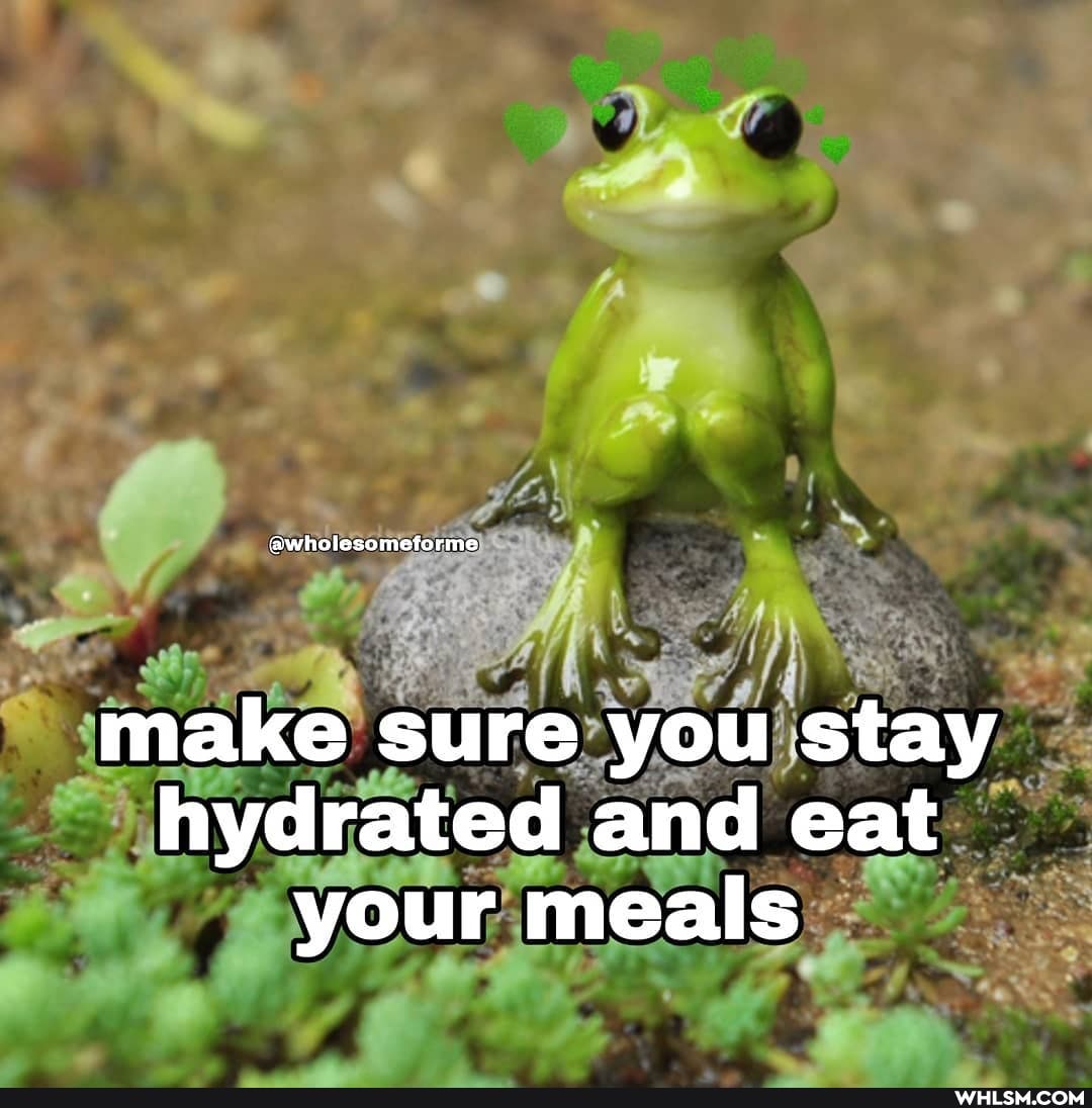make sure you stay hydrated and eat your meals