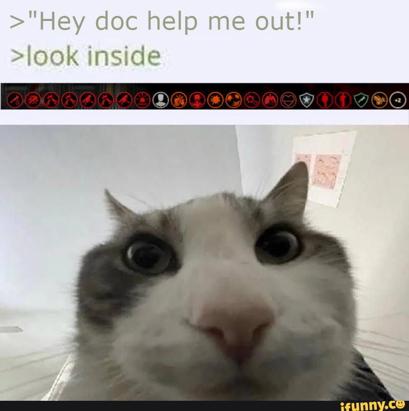 Neurotrauma memes. Best Collection of funny Neurotrauma pictures on iFunny