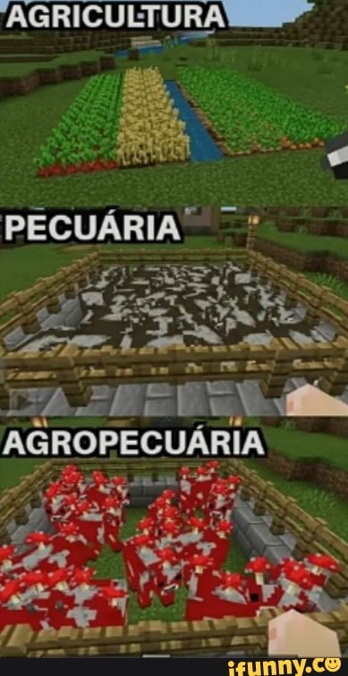AGRICULTURA
PECUÁRIA