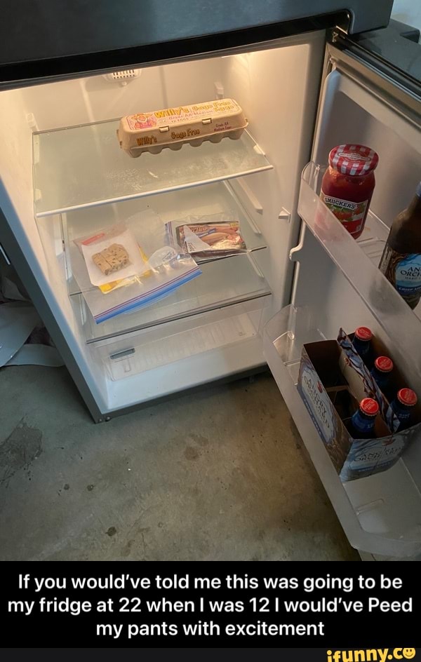 If you would've told me this was going to be my fridge at 22 when I was 12 I would've Peed my pants with excitement - If you would’ve told me this was going to be my fridge at 22 when I was 12 I would’ve Peed my pants with excitement
