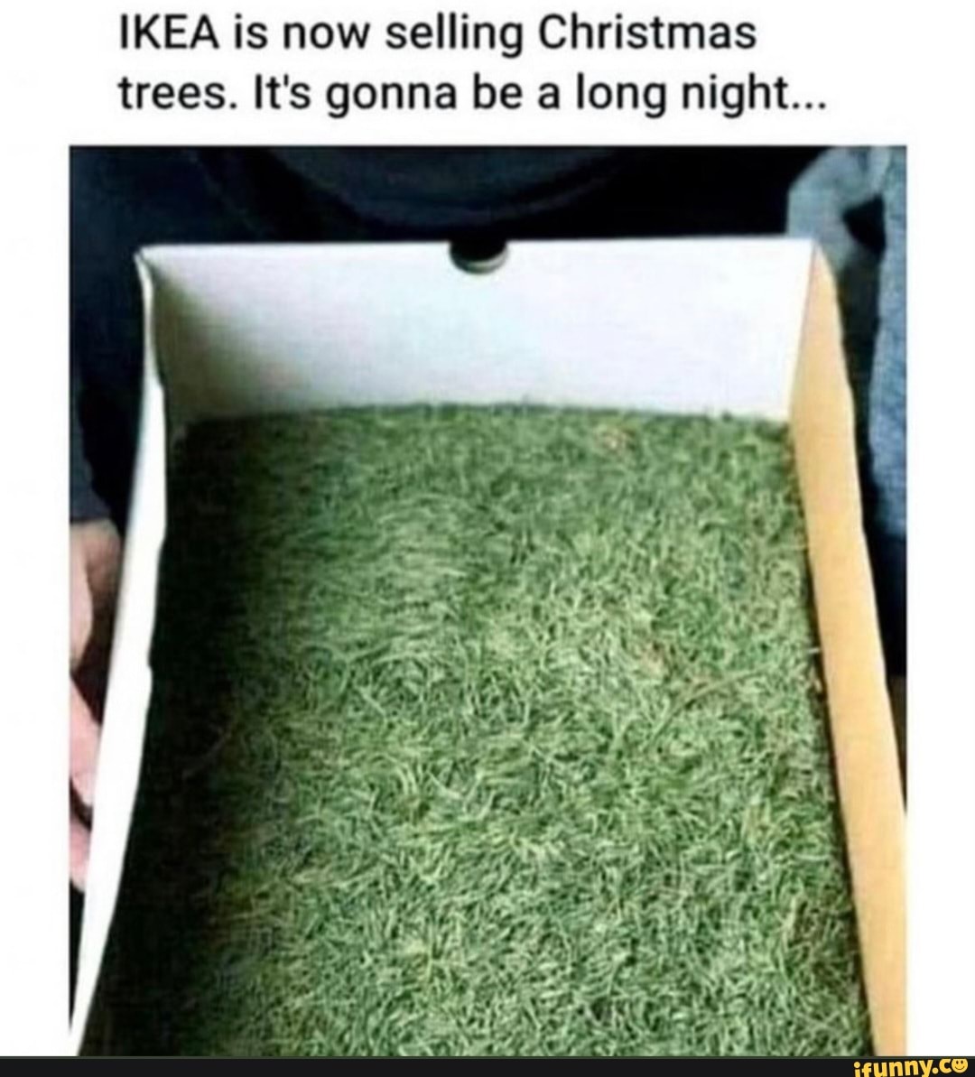 IKEA is now selling Christmas trees. It gonna be a long night... 9 Say