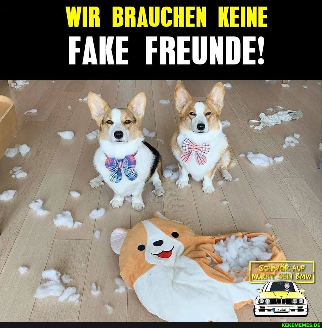 WIR BRAUCHEN KEINE
FARE FREUNDE!