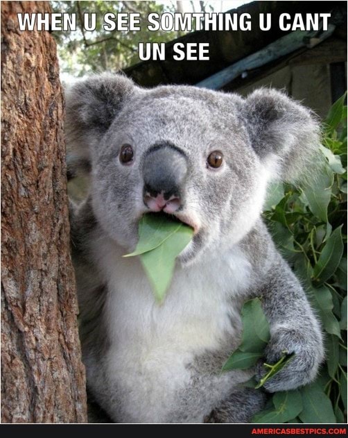 WHEN. U SEE SOMTHING U CANT
UN SEE