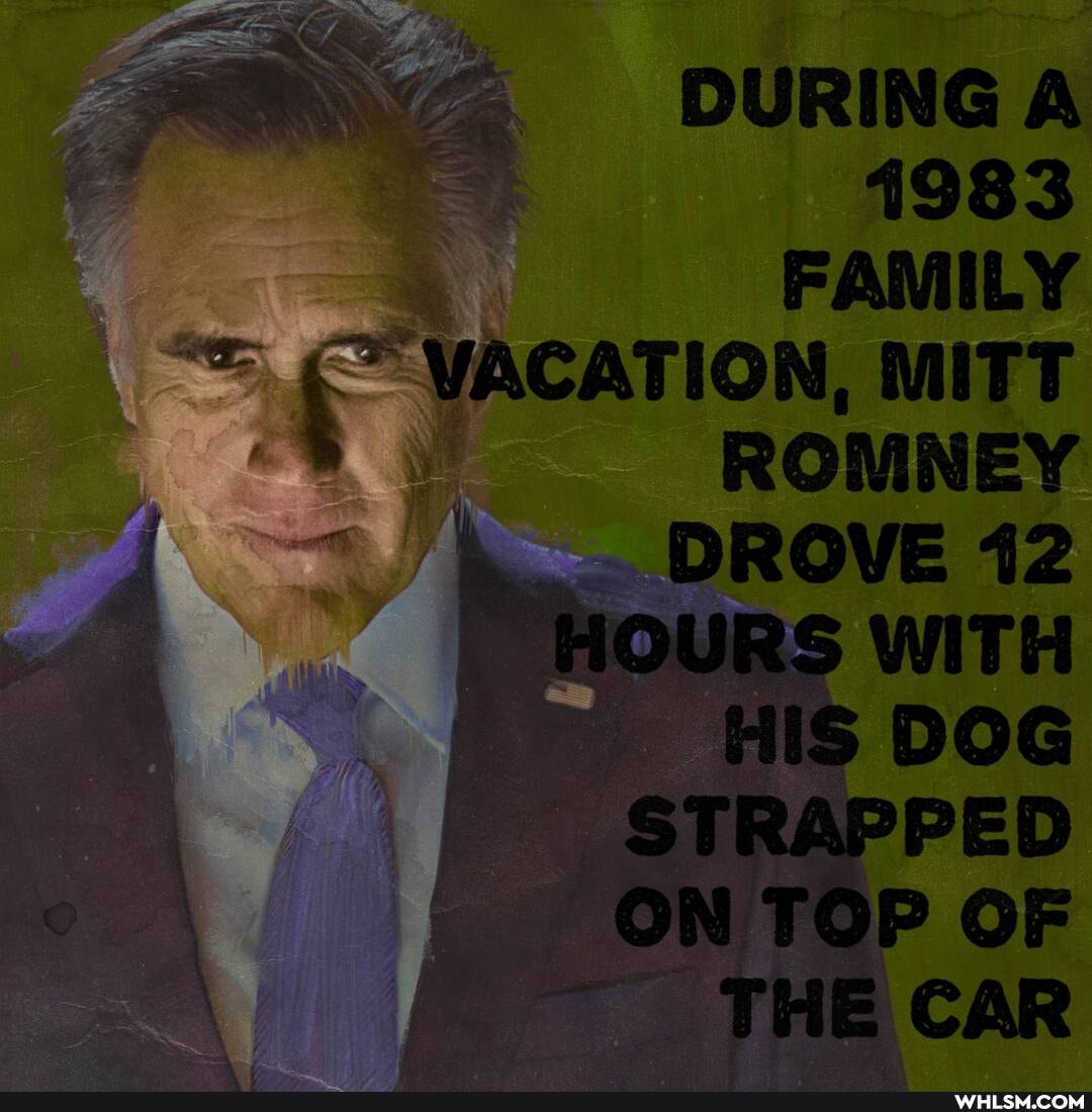 DURING
1983
VACATION, MITT RONNEN DROVER2
OURS
8 DOE
OR