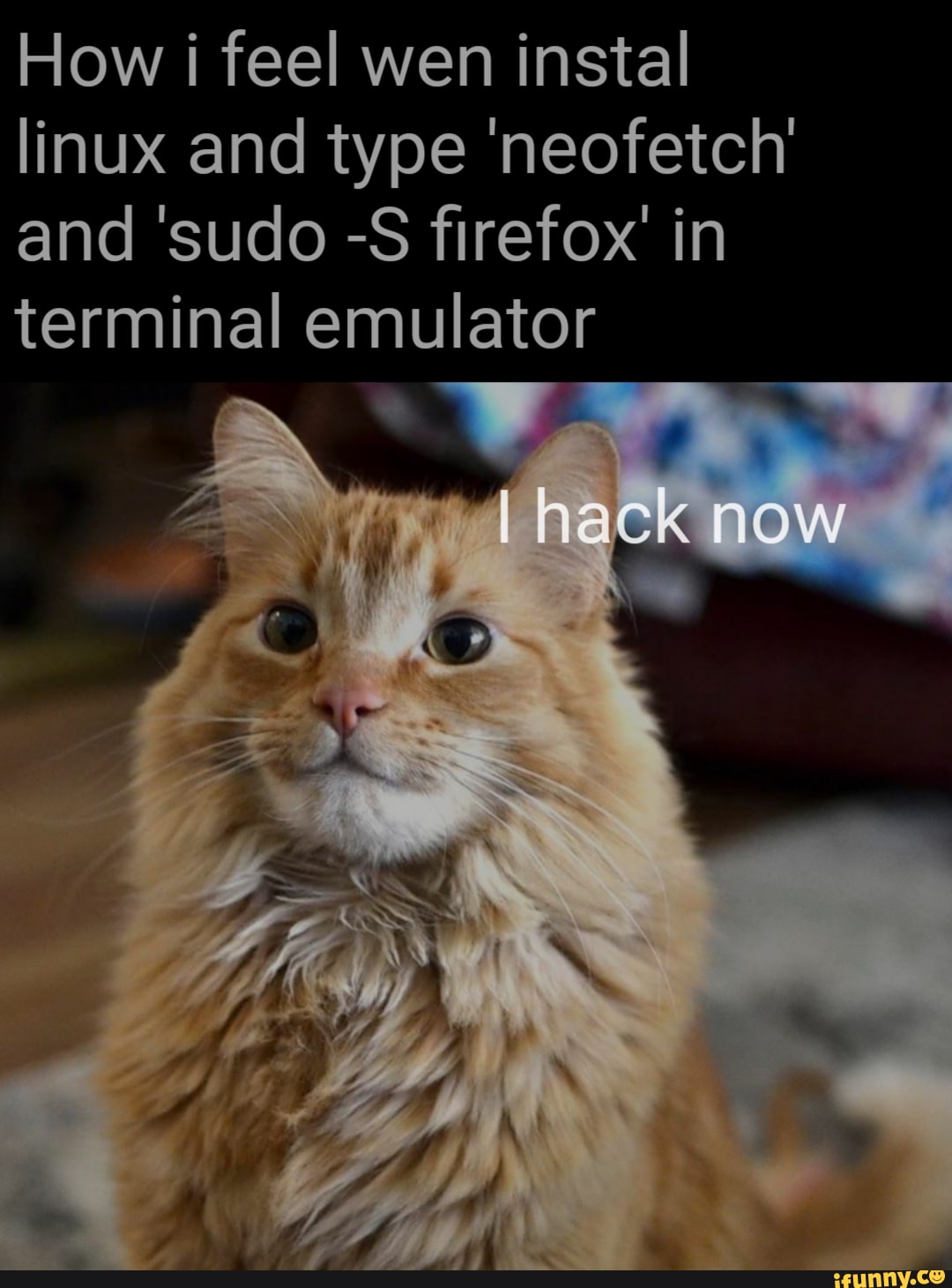 how-i-feel-wen-instal-linux-and-type-neofetch-and-sudo-s-firefox