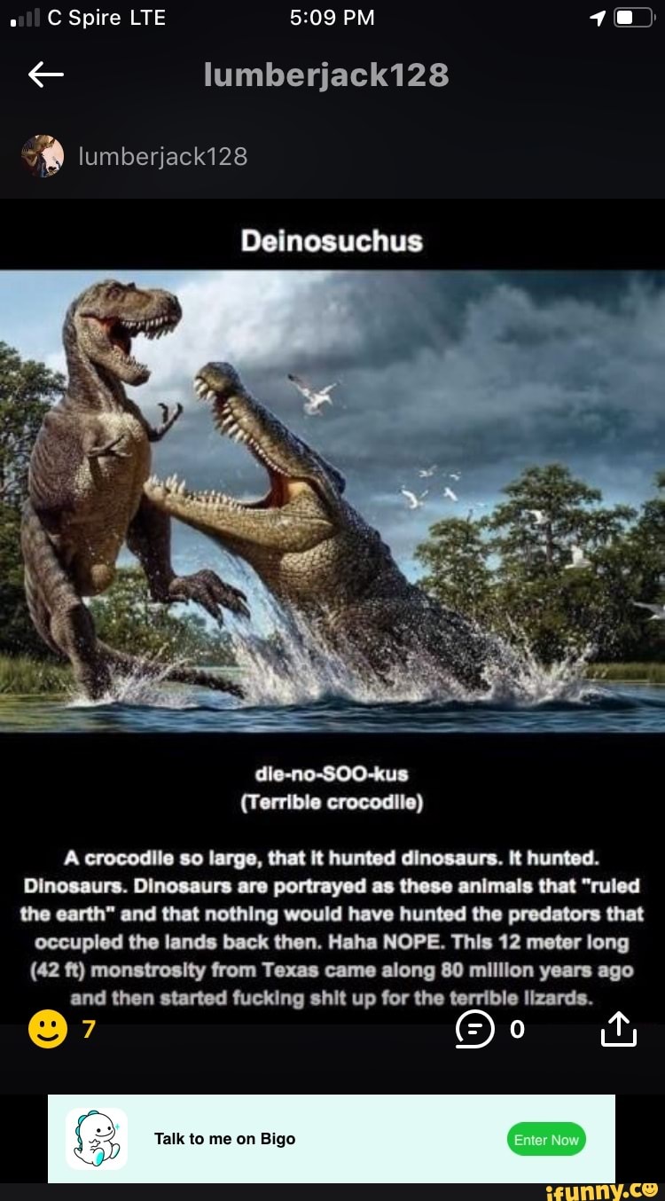 Deinosuchus memes. Best Collection of funny Deinosuchus pictures on iFunny