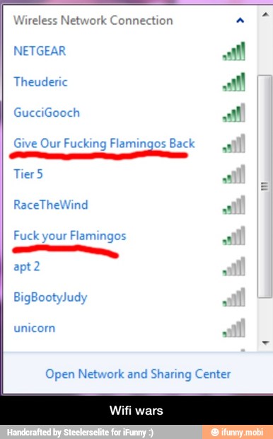 Wireless Network Connection a
Give Our Fucking Flamingos Back
Open Network and Sharing Center - Wifi wars