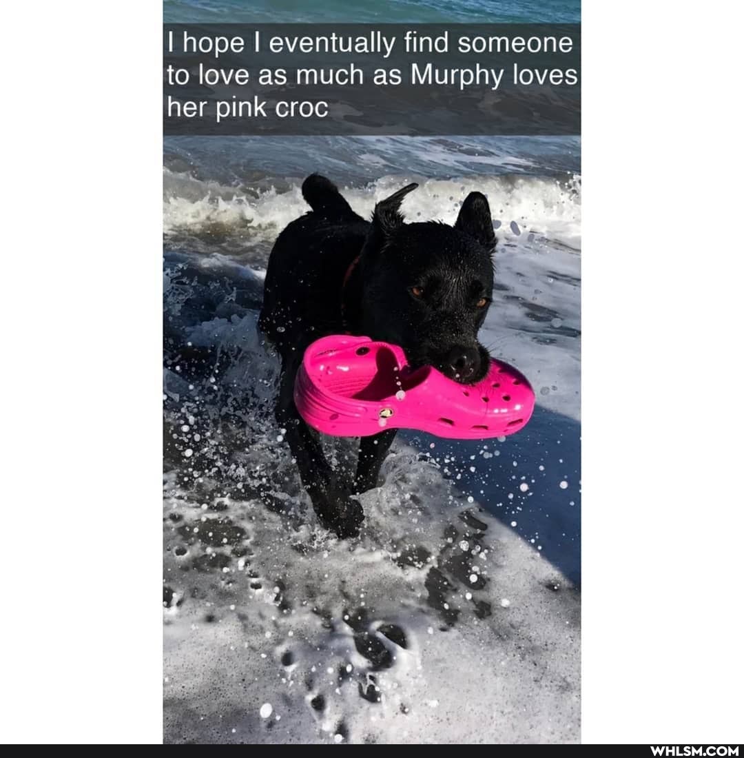 I hope I eventually find someone to love as much as Murphy loves her pink croc