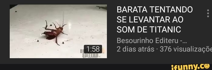 BARATA TENTANDO
SE LEVANTAR AO
SOM DE TITANIC
Besourinho Editeru
dias atrás visualizaçõe